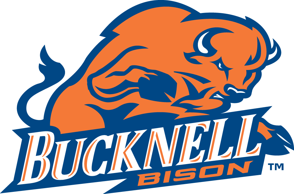 Bucknell Bison 2002-Pres Primary Logo diy iron on heat transfer